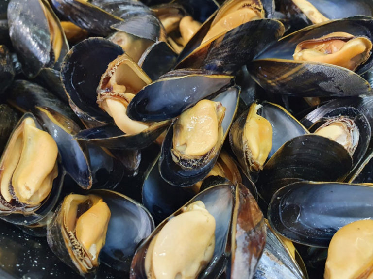 Prix Moules De Bouchot